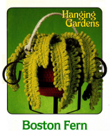 Boston Fern Crocheted House Plant (Made to Order)
